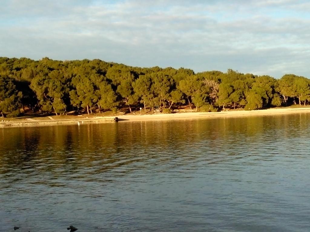 Marija Daire Pula Oda fotoğraf