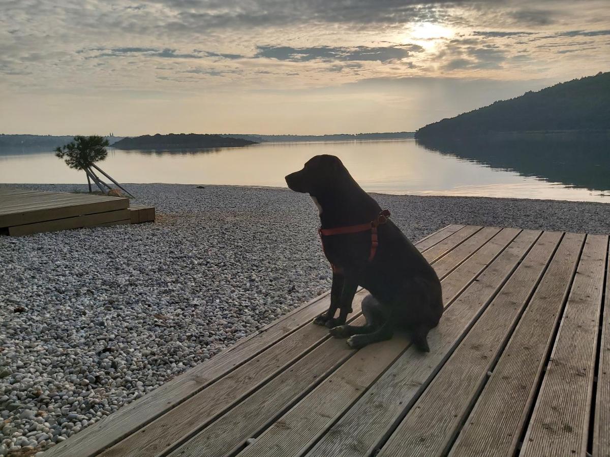 Marija Daire Pula Dış mekan fotoğraf