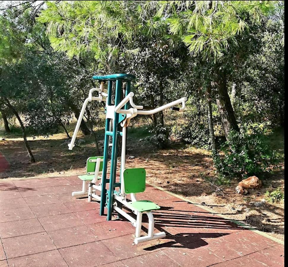 Marija Daire Pula Dış mekan fotoğraf