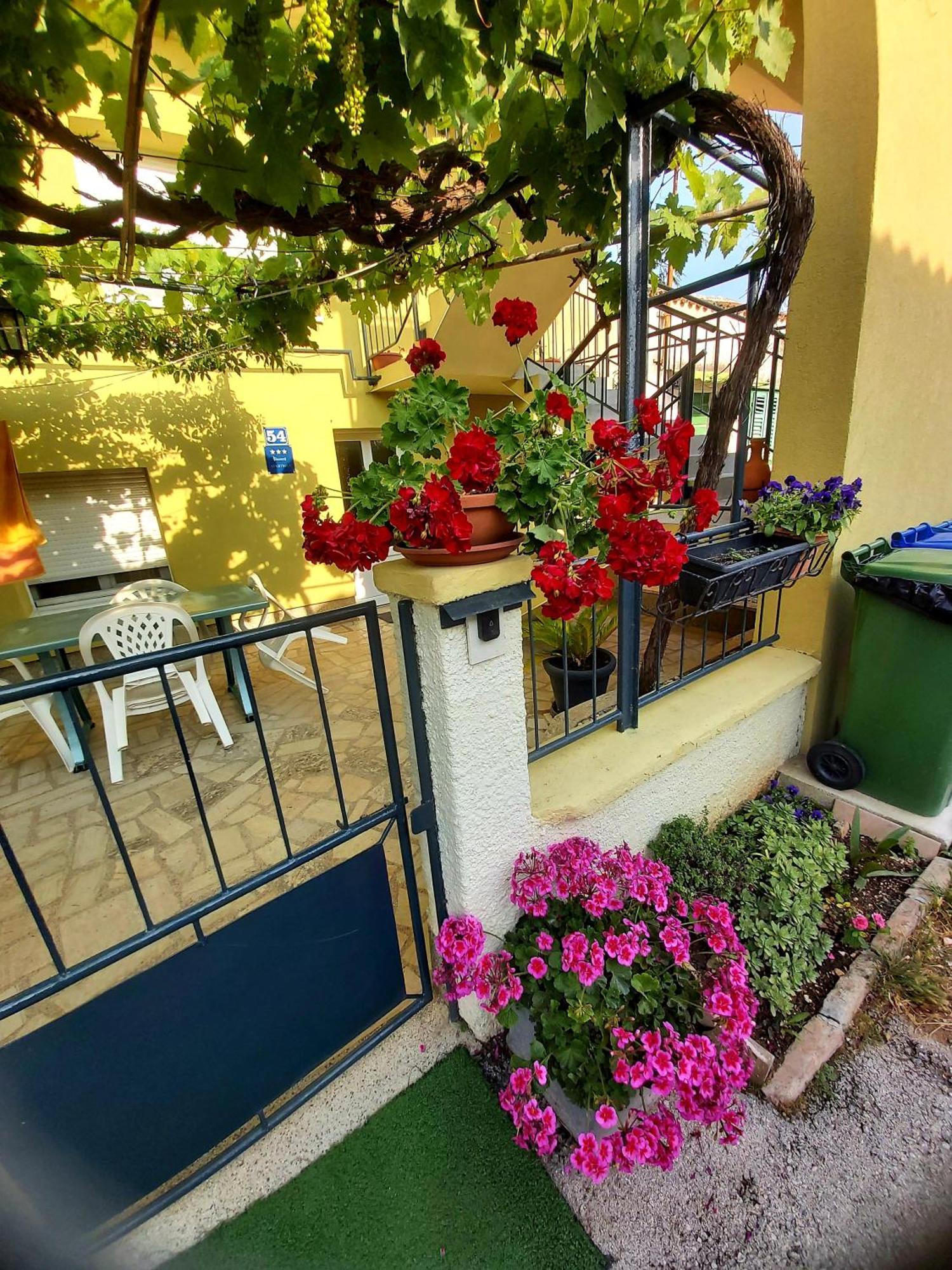 Marija Daire Pula Dış mekan fotoğraf